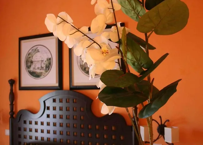 Hotel Dei Coloniali 3*