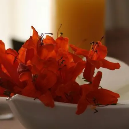 Dei Coloniali Szirakúza