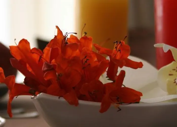 Dei Coloniali Syracuse